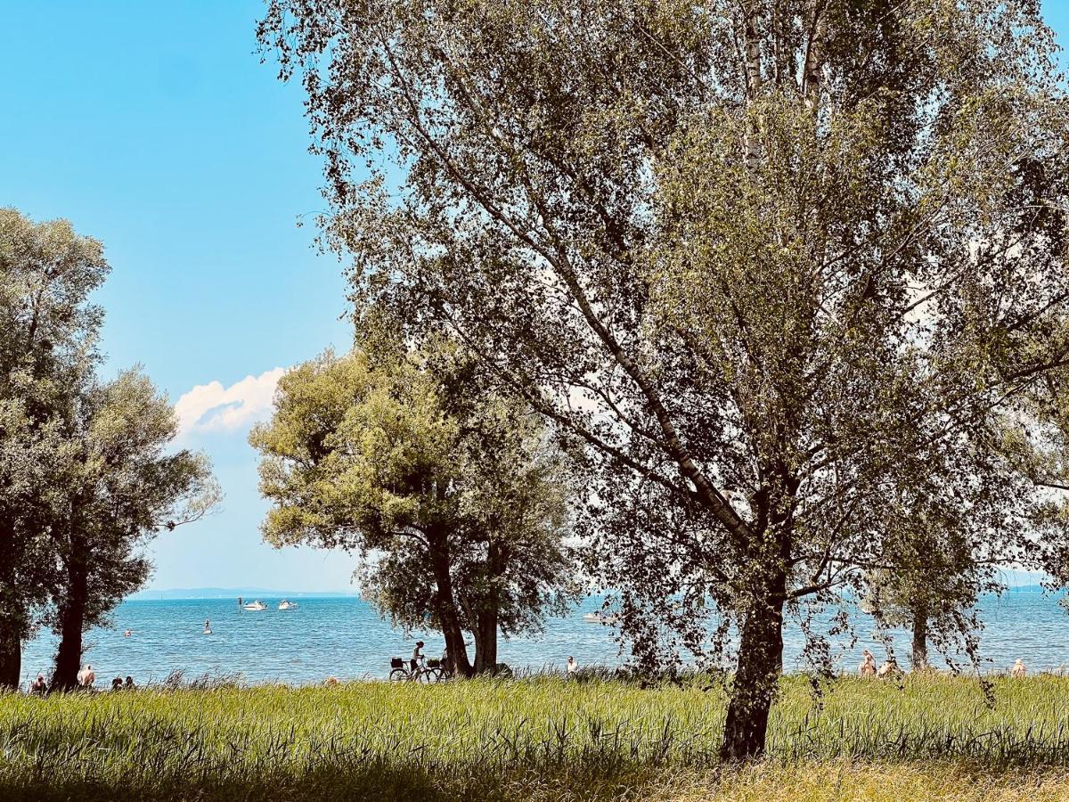 Apartment Sunshine Höchst Εξωτερικό φωτογραφία