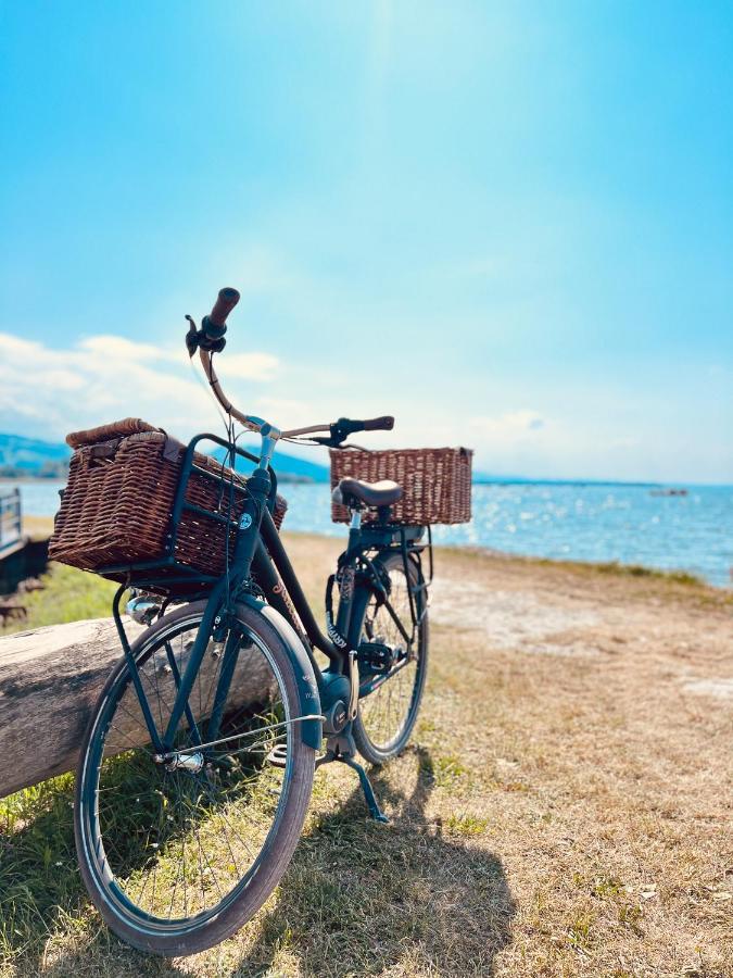 Apartment Sunshine Höchst Εξωτερικό φωτογραφία